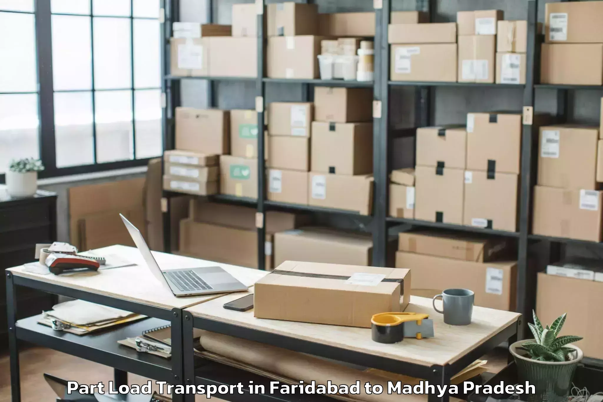 Leading Faridabad to Badod Part Load Transport Provider